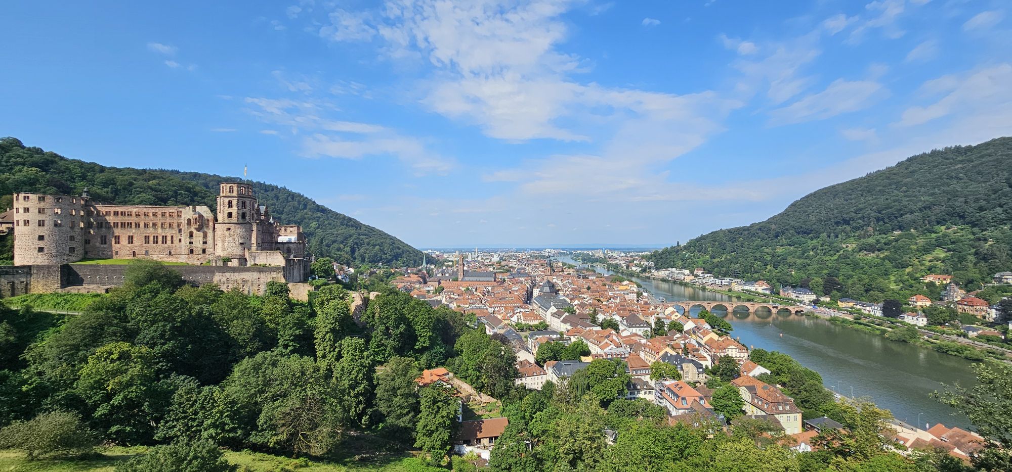 Discovering Heidelberg Castle Ruins and Historical Funicular | Chasing Summer Blog