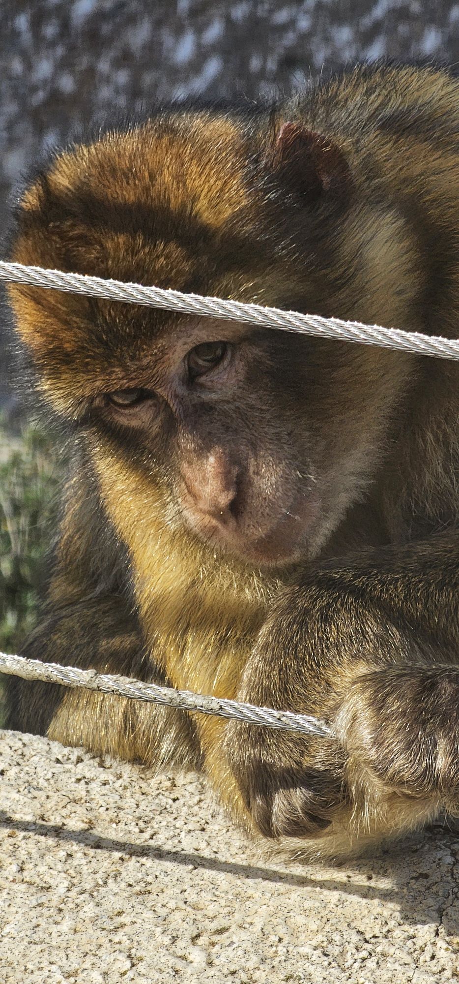 Discover Gibraltar, UK – Oct 20-21